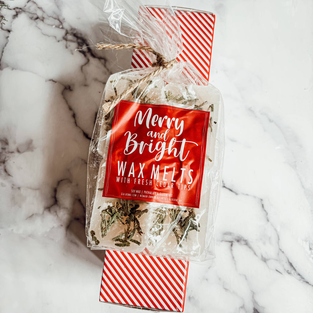 Fall & Winter Home Fragrances, Comfy Cozy XL Wax Melt Unique