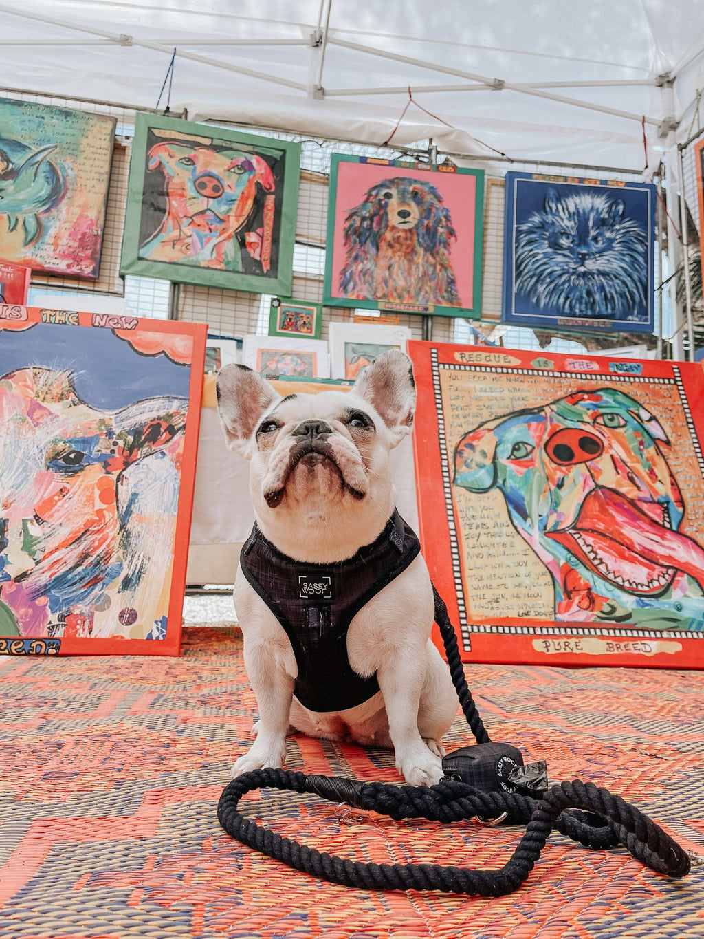 Dog Rope Leash - Noir