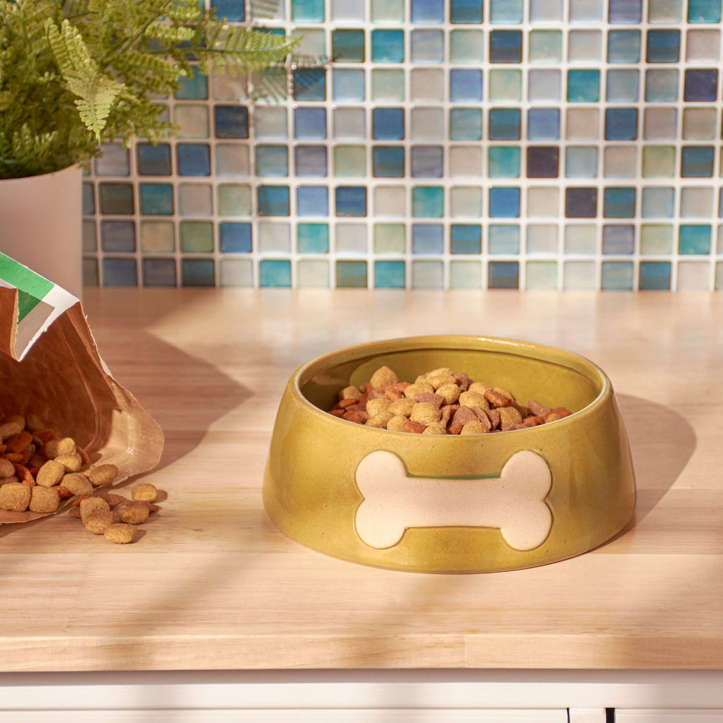 Large Bone Pet Bowl