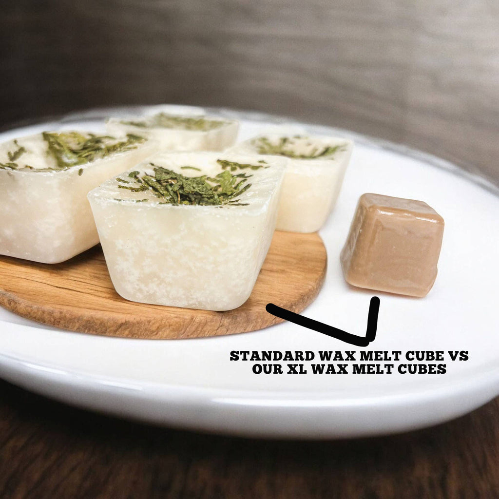 Fall & Winter Home Fragrances, Comfy Cozy XL Wax Melt Unique