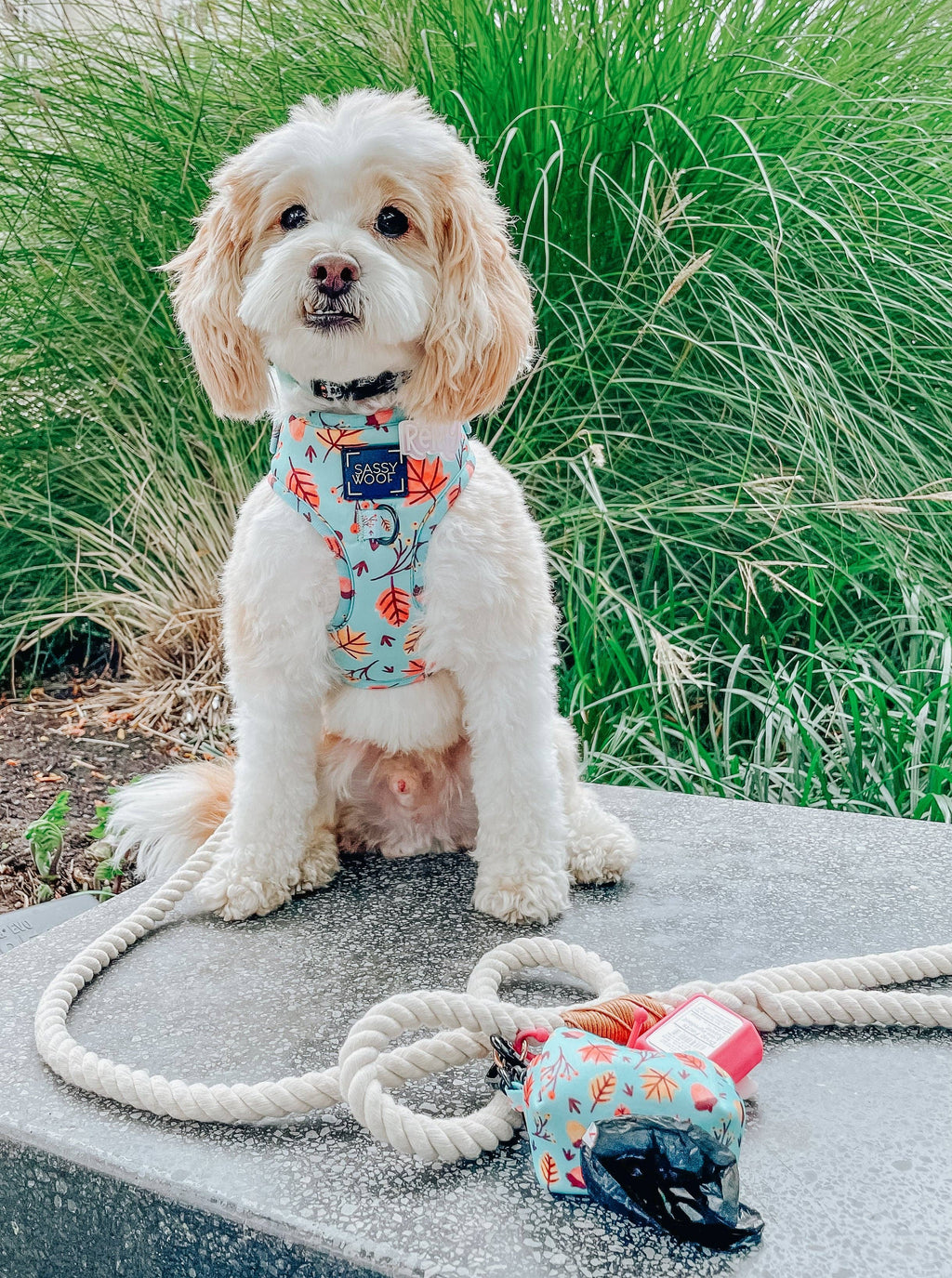 Dog Rope Leash - Natural