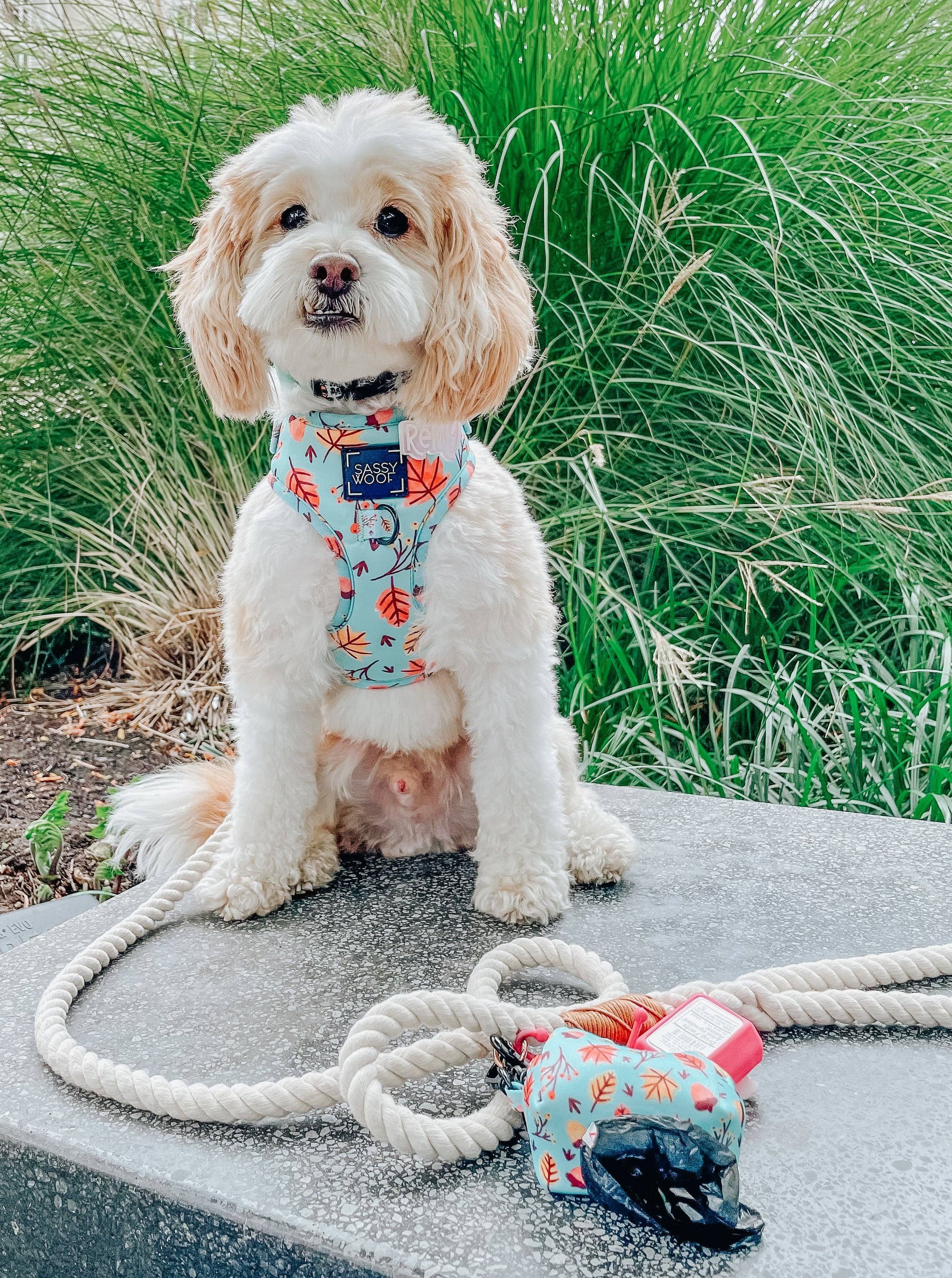 Dog Rope Leash - Natural
