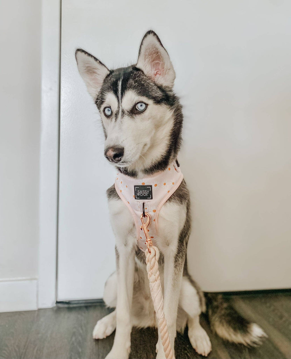 Dog Rope Leash - Pearly